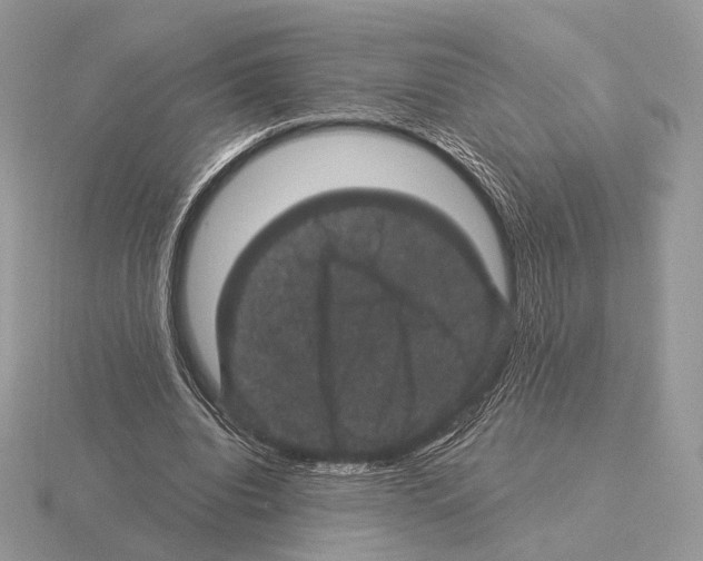 X0000115320440200912141201