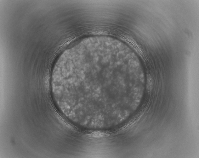 X0000115320441200912141201