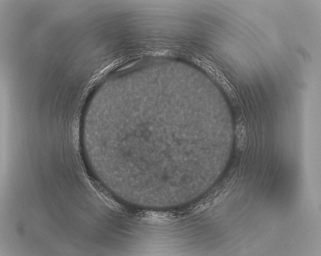 X0000115320442200912141201