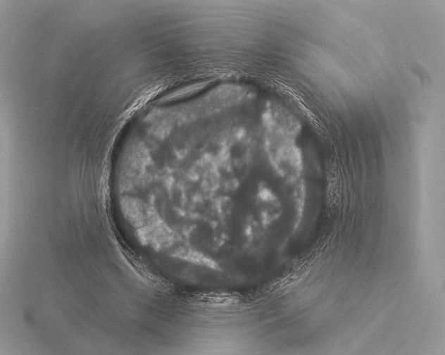 X0000115320443200912141201