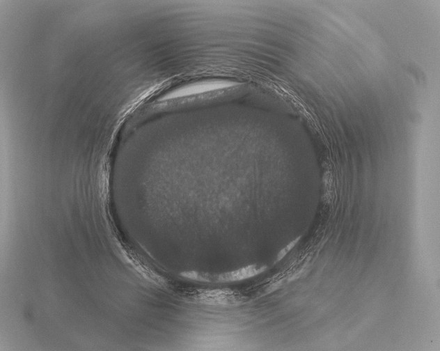 X0000115320446200912141201