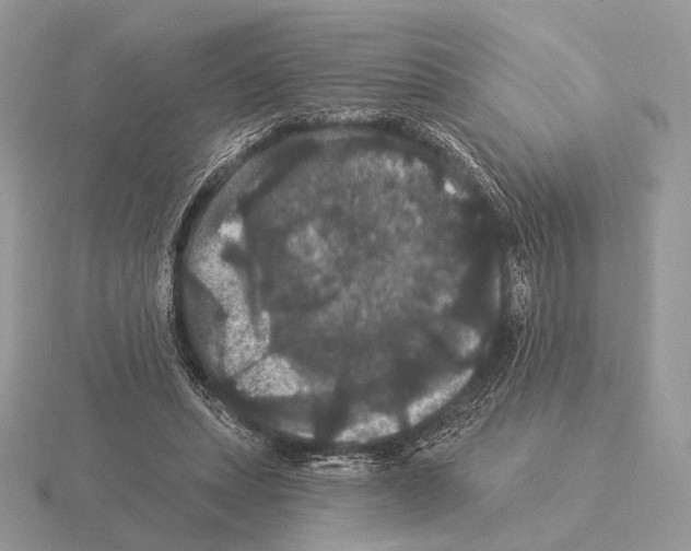 X0000115320447200912141201