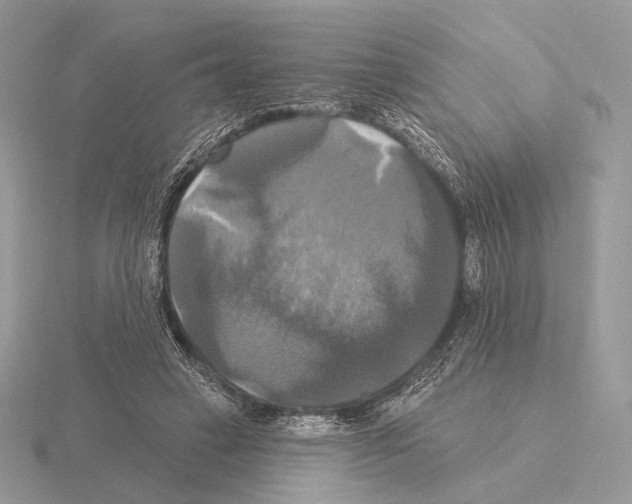 X0000115320449200912141201