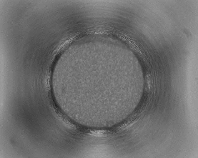 X0000115320450200912141201