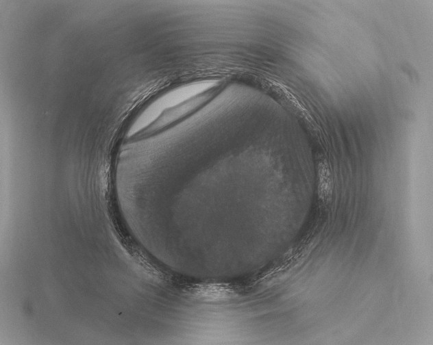 X0000115320451200912141201