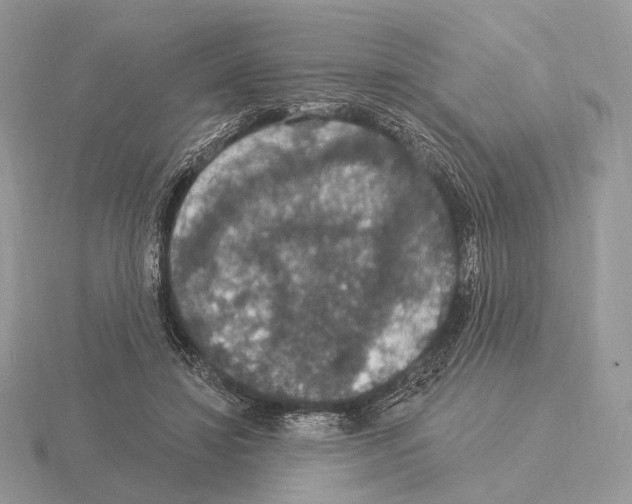 X0000115320452200912141201