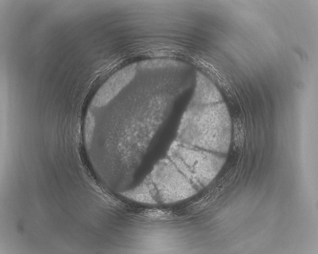 X0000115320453200912141201