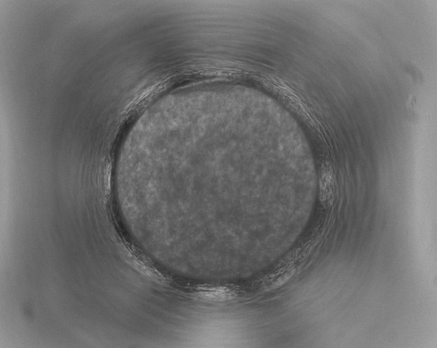 X0000115320454200912141201