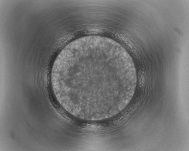 X0000115320455200912141201