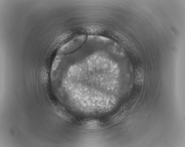 X0000115320456200912141201