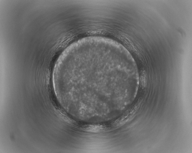 X0000115320458200912141201