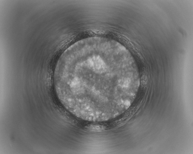 X0000115320464200912141202