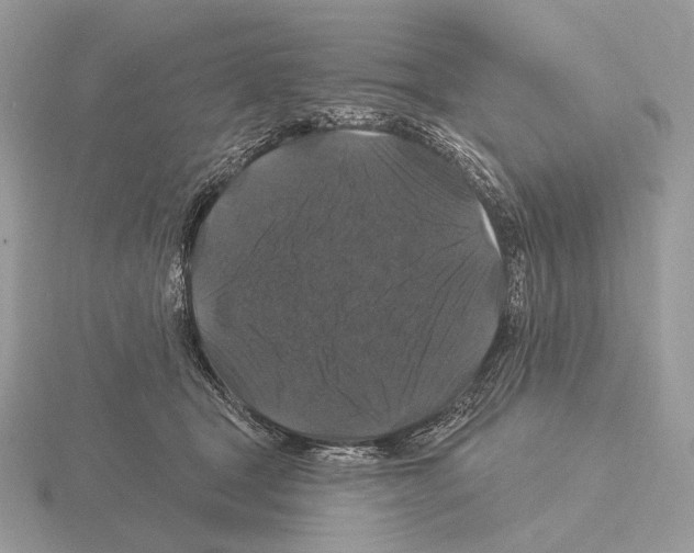 X0000115320465200912141202