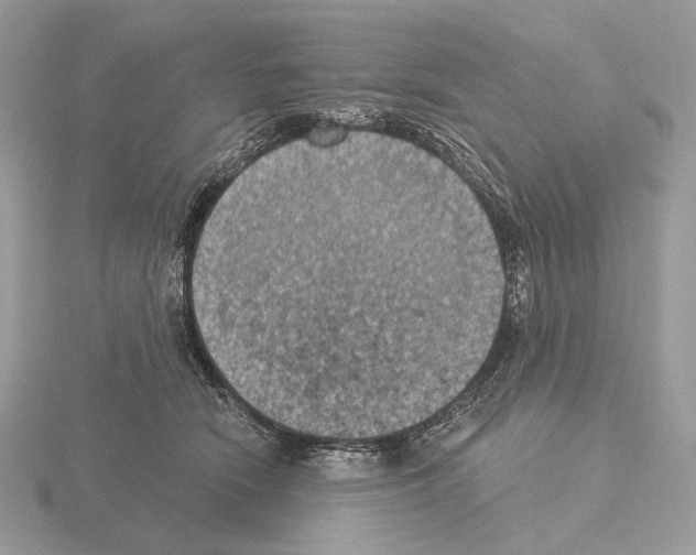 X0000115320466200912141202