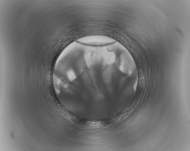 X0000115320469200912141202