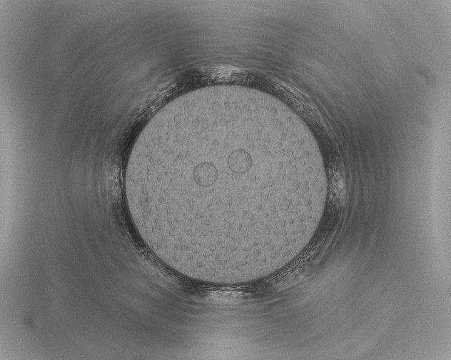 X0000115320470200912141202