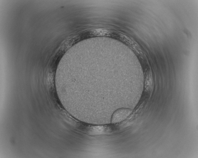 X0000115320473200912141202