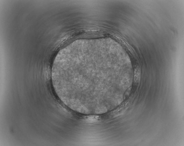 X0000115320474200912141202