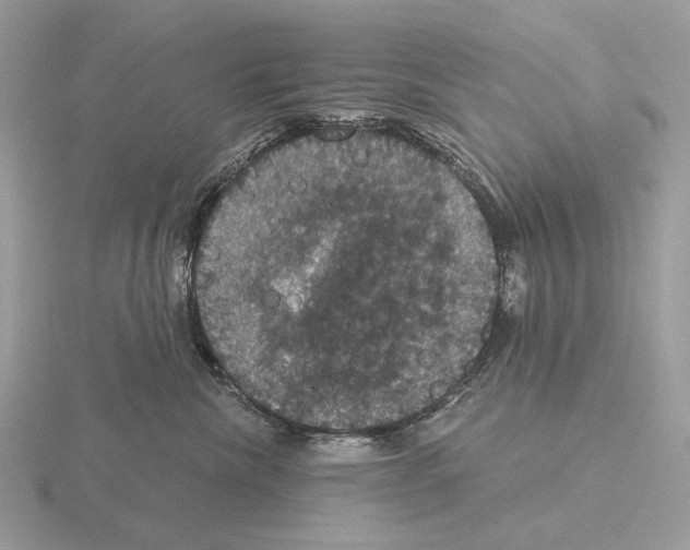 X0000115320476200912141202