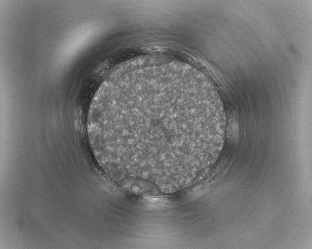 X0000115320477200912141202