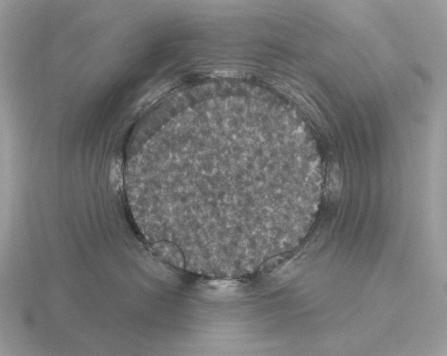 X0000115320478200912141202