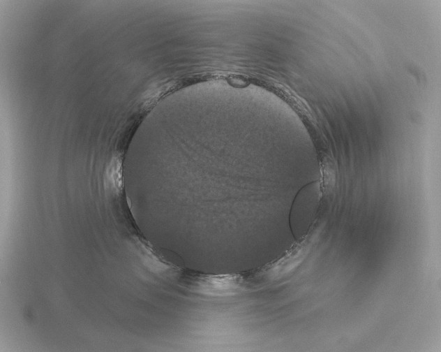 X0000115320479200912141202