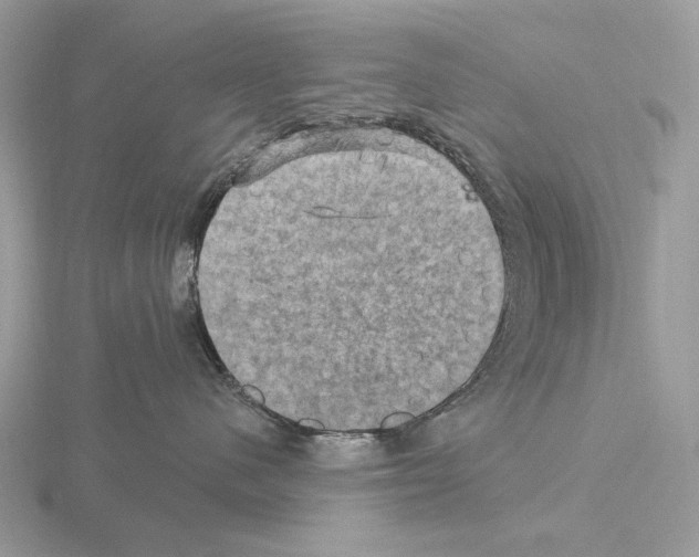 X0000115320480200912141202