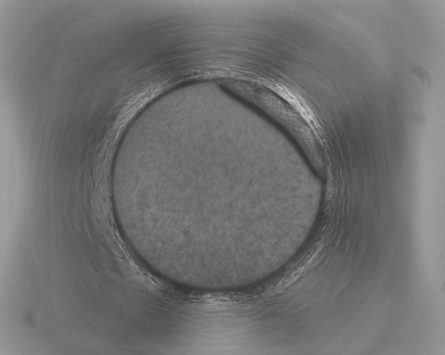 X0000115320481200912141201