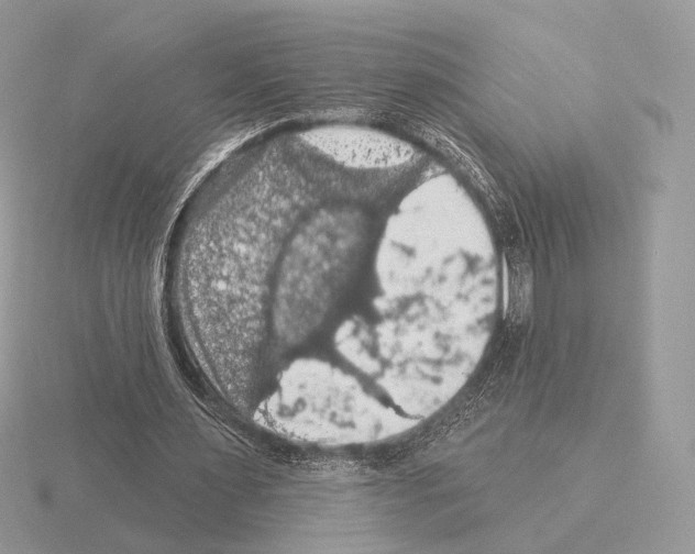 X0000115320483200912141201