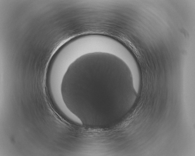 X0000115320484200912141201