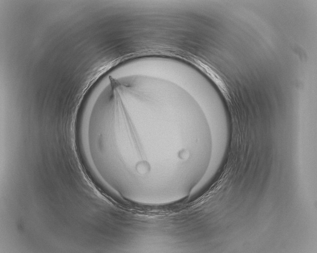 X0000115320485200912141201