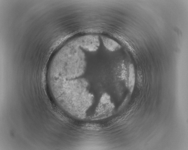 X0000115320487200912141201