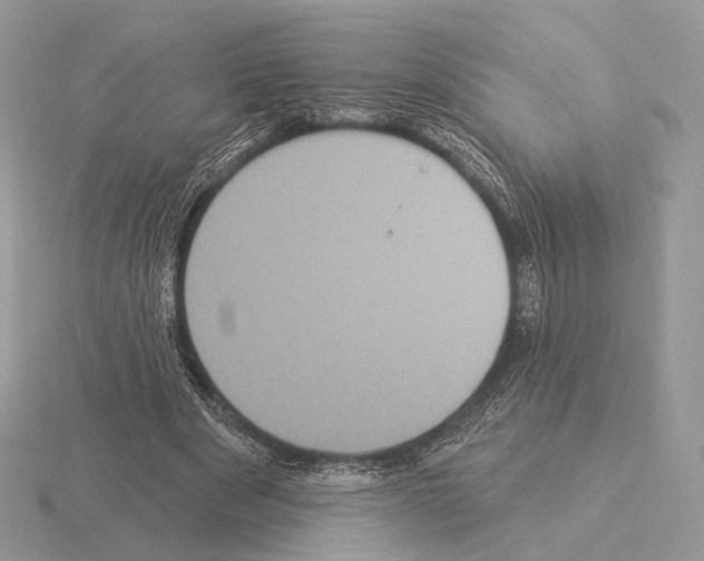 X0000115320489200912141201