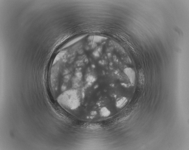 X0000115320491200912141201