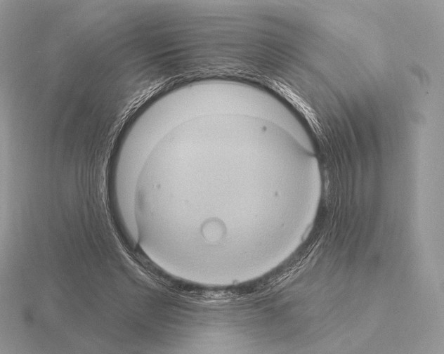 X0000115320493200912141201