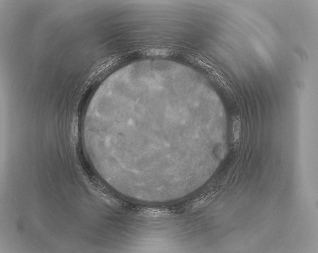 X0000115320494200912141201