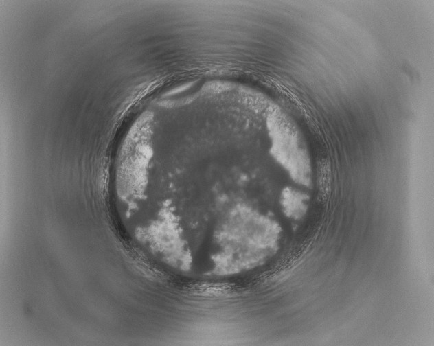 X0000115320495200912141201