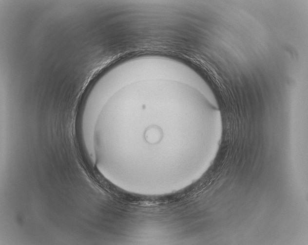 X0000115320496200912141201