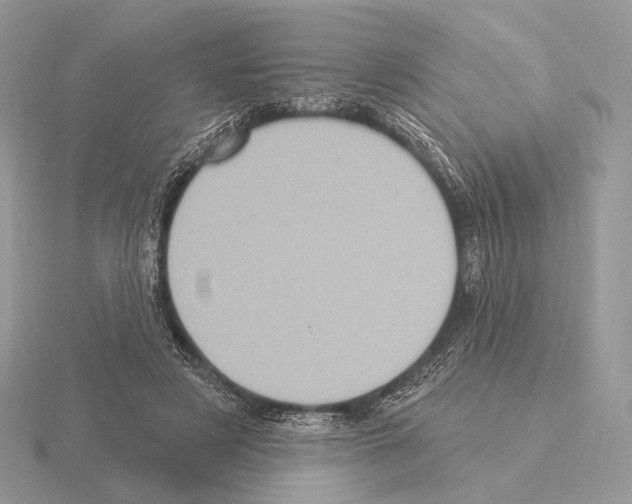 X0000115320497200912141201