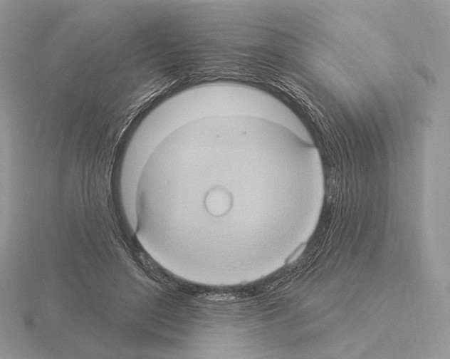 X0000115320500200912141201