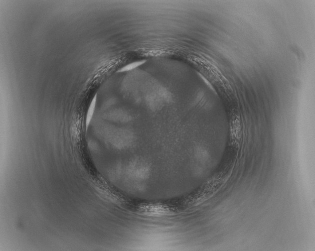 X0000115320503200912141201