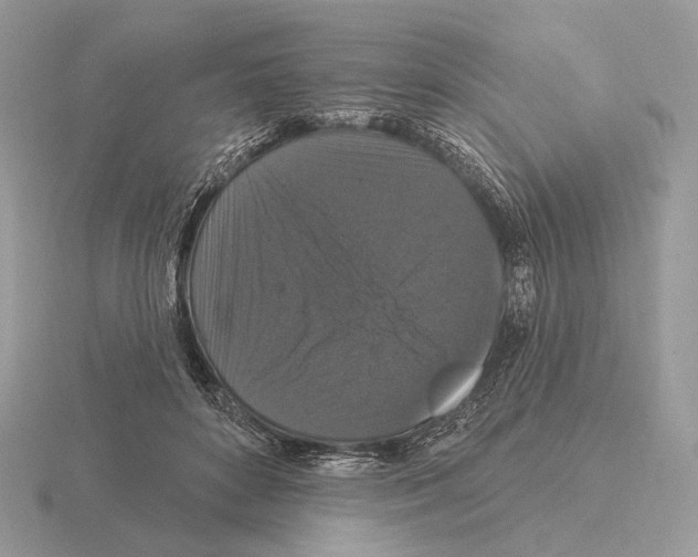 X0000115320504200912141201