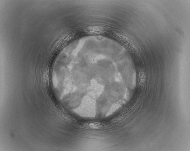 X0000115320506200912141201