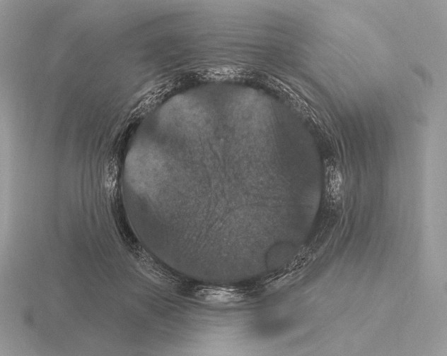 X0000115320507200912141201