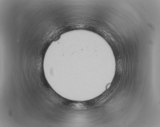 X0000115320509200912141201