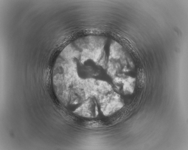 X0000115320511200912141201