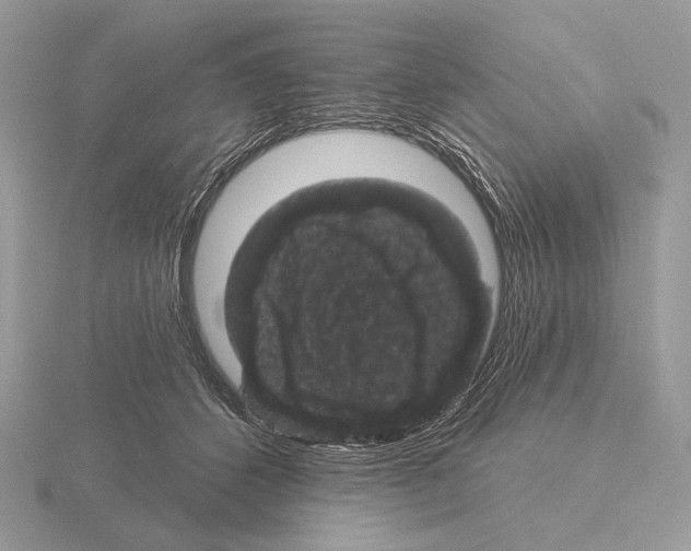 X0000115320512200912141201