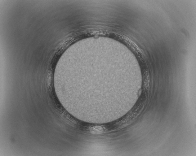 X0000115320513200912141201