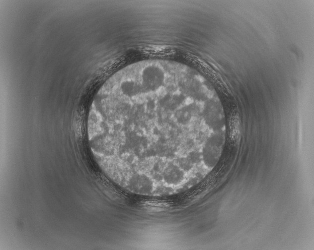 X0000115320515200912141201