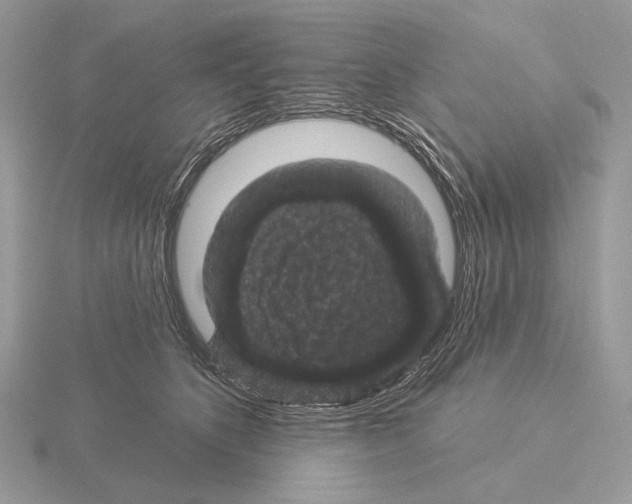 X0000115320516200912141201